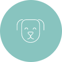 About Us Icon 3